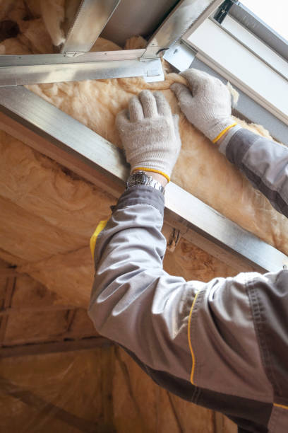 Best Wall Insulation Installation  in Edwards, MS